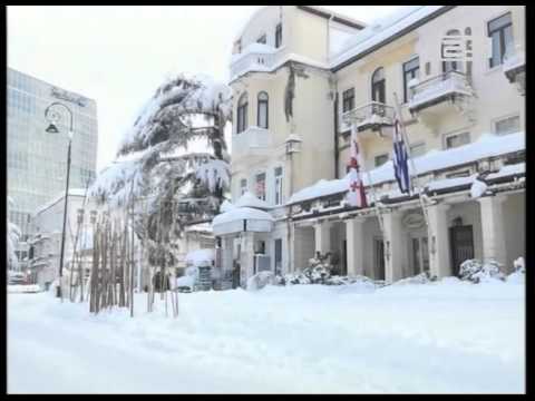 დაზიანებული ხეები ბათუმში