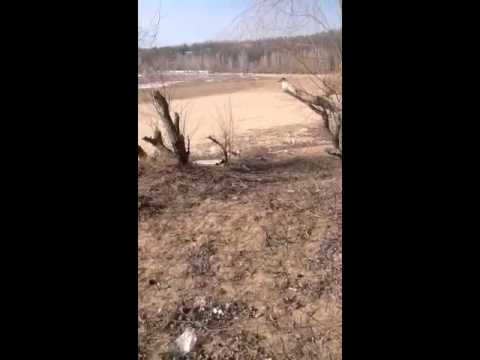 Муравьиный остров в Тольятти