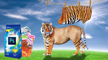 Tiger Effect  Photoshop Manipulation Tutorial