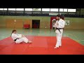 Judo || Höhe reduzieren bei der Fallschule? Obacht! #ZZD2 No. 38 Teil 2