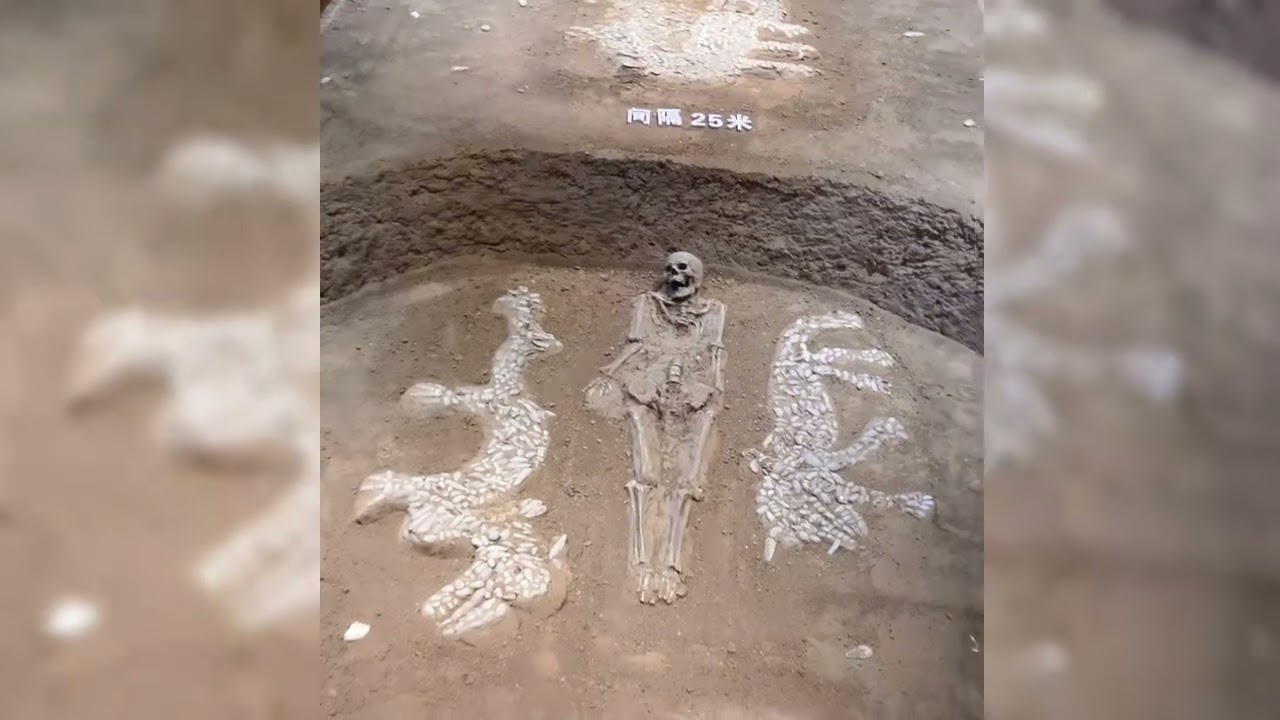 探秘華夏神木博物館｜揭開千年神木傳奇