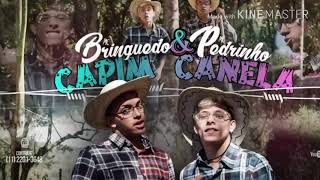 MC Brinquedo e MC Pedrinho - Capim Canela (Download mp3)