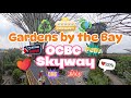 UNBELIEVABLE Views from GBTB OCBC Skyway! Walking Above Gardens by the Bay
