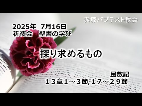 探り求めるもの　民数記　13章1～3節, 17～29節 2025/07/16 WED. 赤塚教会祈祷会 聖書の学び