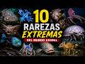 10 rarezas extremas del mundo animal@agustinmarquez8093