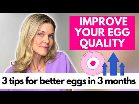 Improve Egg Quality Fast 3 Tips to Have Better Egg Quality in 3 Months