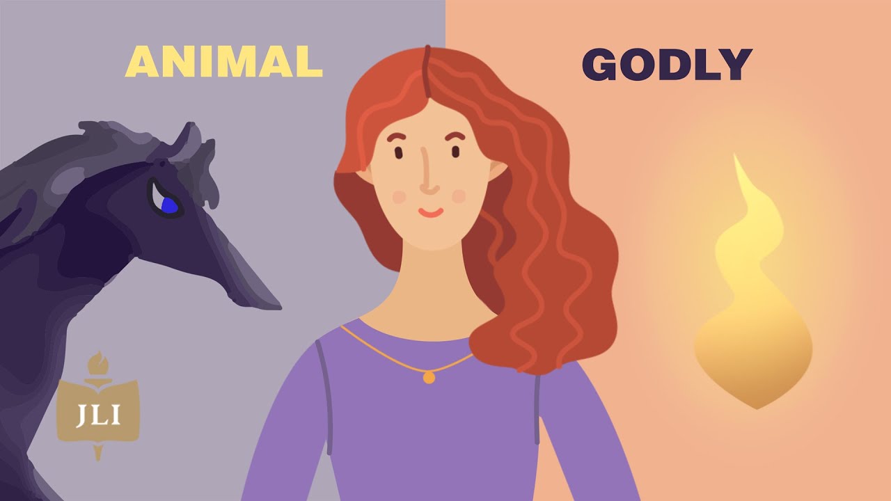 Your Two Souls, Explained