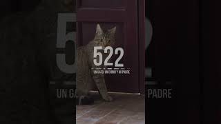 Natalia De Molina en 522. Un Gato, Un Chino y Mi Padre