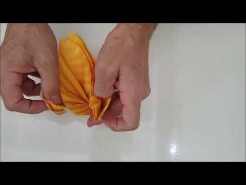 Conch Shell Folding Tutorial - 3D Origami Napkins - YouTube