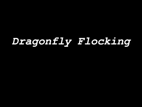 Dragonfly Flocking