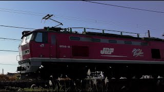 レッドサンダーEF510-13牽引高速貨物【4K】信越本線下り4095レ名古屋→米原→新潟