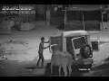 FAZILPUR 28 08 17 cow Thief 1