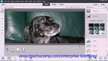 Adobe Photoshop Elements 12 Tutorial Edit Modes Employee Group Training  3.11