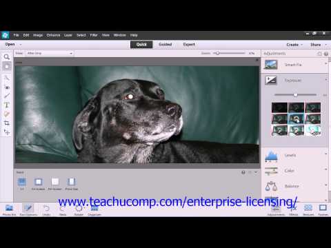 Adobe Photoshop Elements 12 Tutorial Edit Modes Employee Group Training  3.11