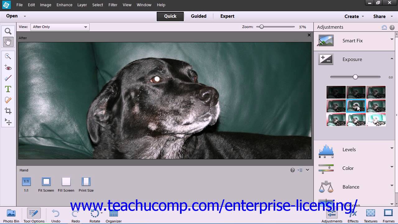 Adobe Photoshop Elements 12 Tutorial Edit Modes Employee Group Training ...