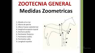 Medidas Zoometricas