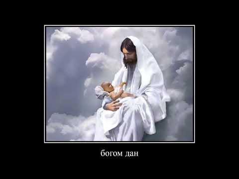 Богдан богом дан мем Эй, Богдан, богом дан #shorts - YouTube
