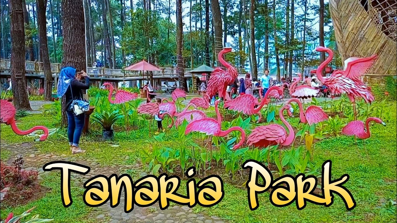 Wisata Tanaria Park Prigen | Rumah Kelinci