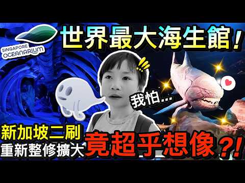 兒子會害怕？！聖淘沙水族館大升級...擴大後竟然更精彩了？！ft.Singapore Oceanarium｜2026新加坡自由行 ep3