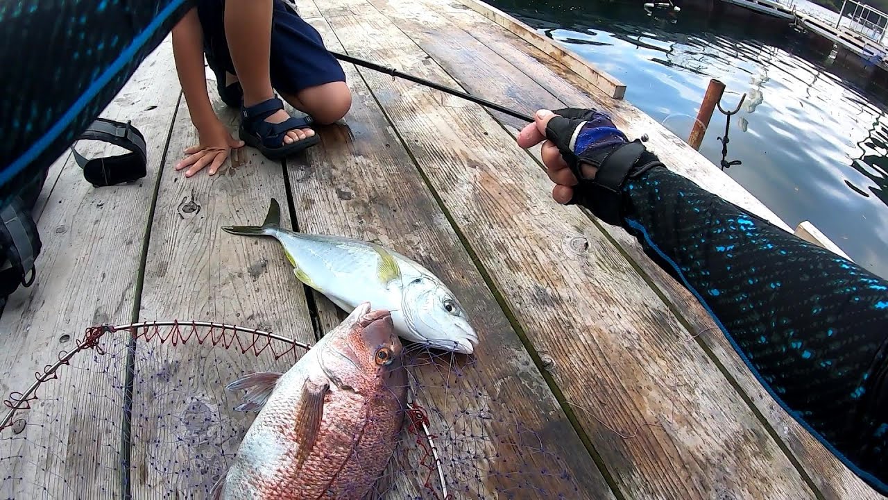 シラサ使いの親子が釣りまくる！あなたに逢い鯛。釣り堀