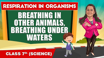 Respiration in Organisms - Part 2 || Class 7th Science || Junoon pro