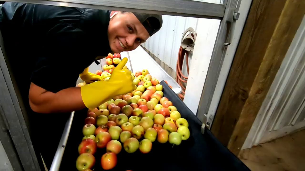 difference between apple cider and apple juice difference between apple cider and apple juice