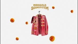 Lost Stories, @JAIDHIR - Leja [ Lyric Video] | Marigold Soundsystem