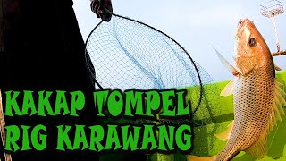 Mancing Dasaran Mancing Ikan Jenaha Babon Kakap Tompel Rig Karawang