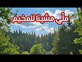 ملي مشينا للمخيم