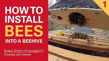 How to Install Bees Into a Beehive Part 1