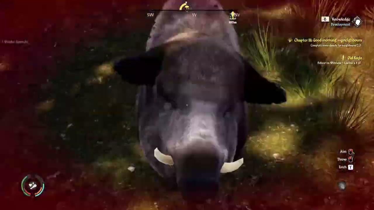 battle-of-the-pigs-medieval-dynasty-youtube