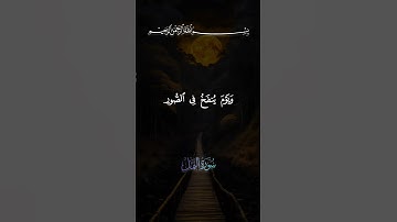 سورة  النمل ✨✨ #shortvideo #اكسبلور #duet #القران_الكريم #دويتو