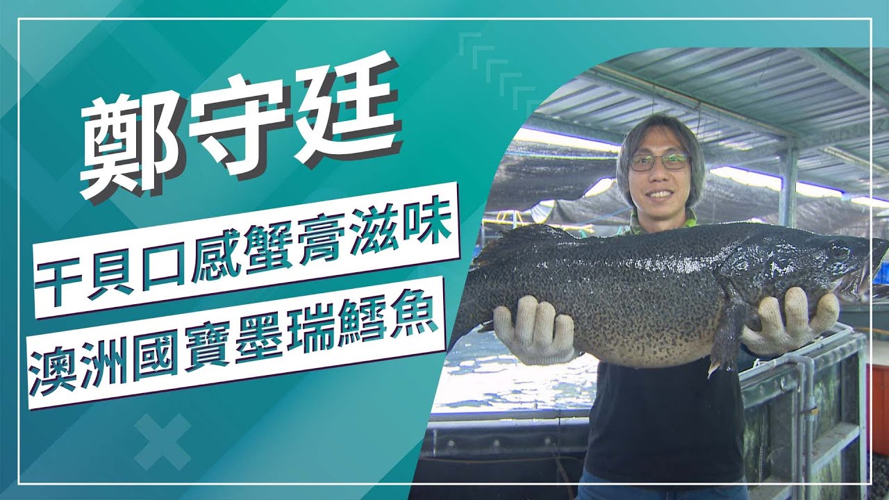 草地狀元-頂級鱈鱸 馴魚高手(2022.03.28播出)