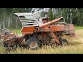 Niva SK-5 harvesting wheat 2019