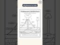 An energy science coloring book with labeled diagrams #shorts