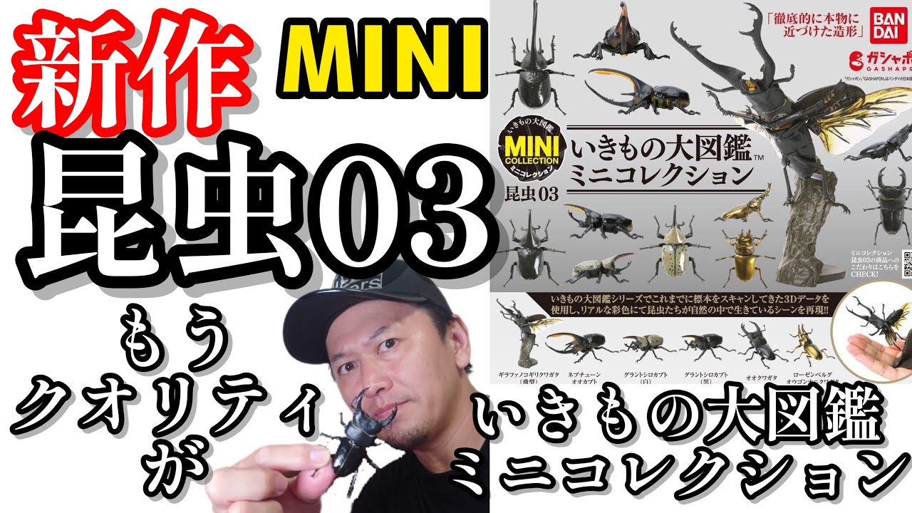 ガチャガチャ】いきもの大図鑑ミニコレクション『昆虫03』【黒い