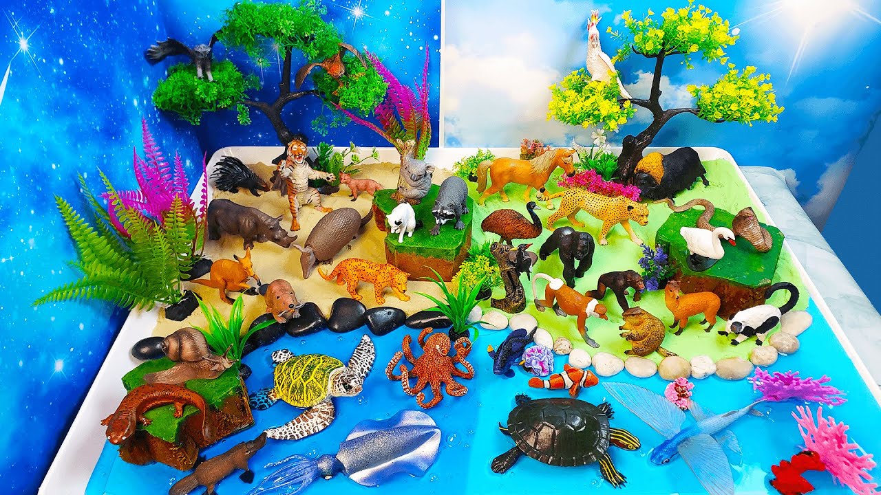 Animales diurnos y nocturnos-Aprenda  nombres de animales y datos sobre ellos