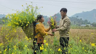 Download Lagu Kisah cinta antara seorang CEO kaya dan seorang wanita lajang miskin - mengatasi semua tantangan. MP3