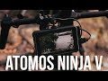 Atomos Ninja V. Хорошо, дорого и не для всех.