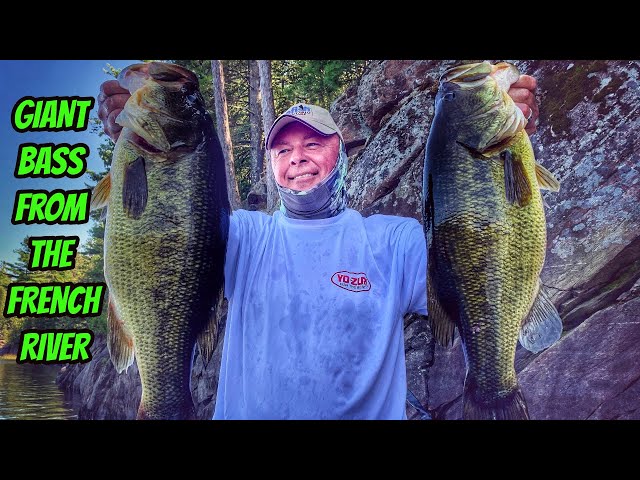 GIANT LARGEMOUTH BASS FROM THE FRENCH RIVER- New Season Teaser 