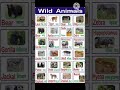 Animals name ll Wild animals ll #shorts  #ytshorts