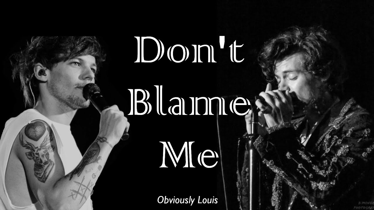 Don't Blame Me | Louis & Harry | Obviously Louis