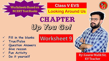 Chapter 9 Up You Go Worksheet  | NCERT Class 5 EVS | By KV Teacher | School Guide