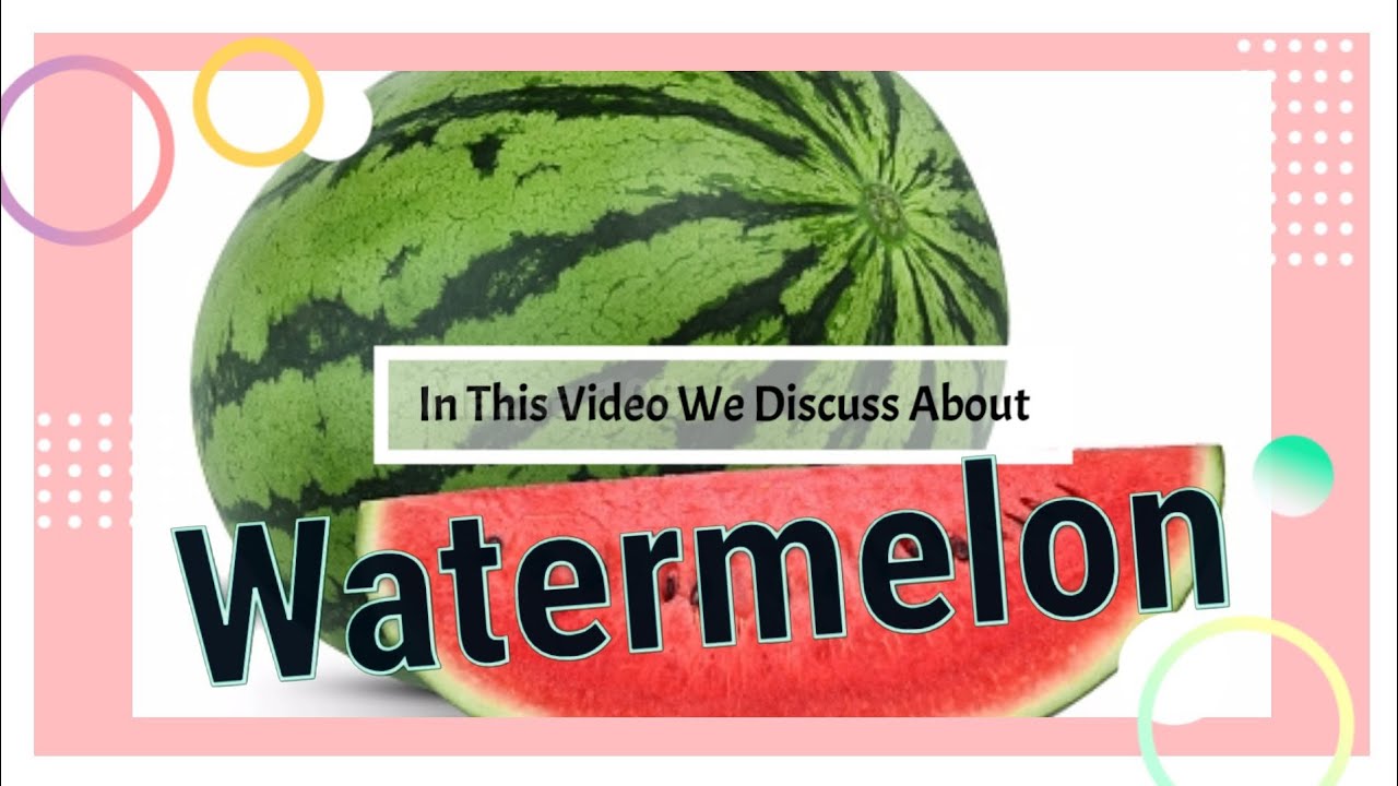Watermelon | Essay On Watermelon Fruit | Few Lines About Watermelon | My Favorite Fruit Watermelon