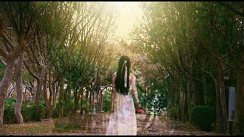 文华影广x惠文大传《Nefelibata》｜开场形象片｜ - 天天要闻