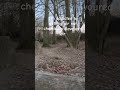 Other small MTBers remix the sound