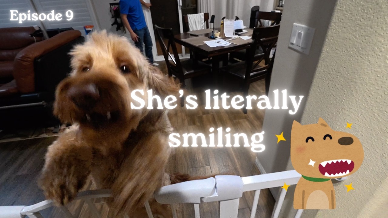 Two months away from home and I come back to this | Surgery Trip Ep. 9