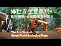 ?????????????????? The Ara Show at Green World Ecological Farm, Hsinchu, Taiwan