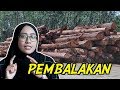 Pembalakan