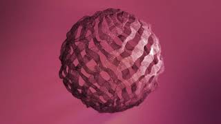 Splash Reel